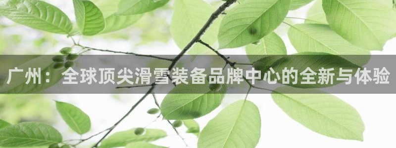 新宝gg登陆新