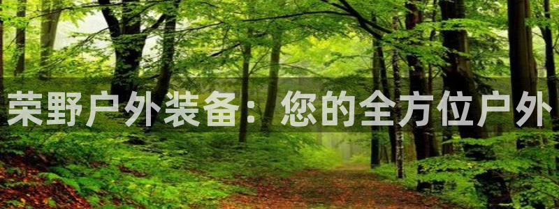 新宝gg反水