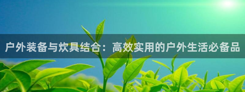 新宝gg主管开