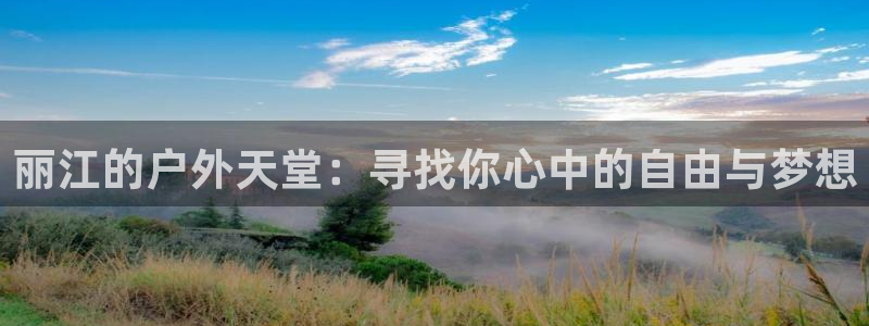 新宝gg挂机app