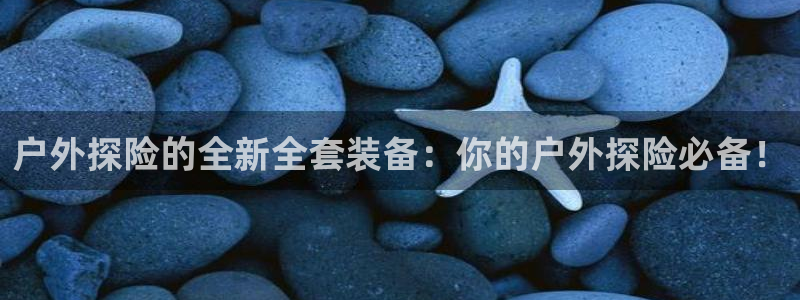 新宝gg棋牌