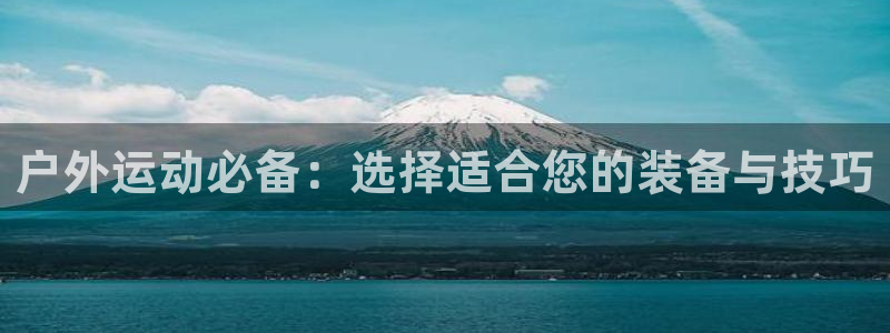新宝gg什么