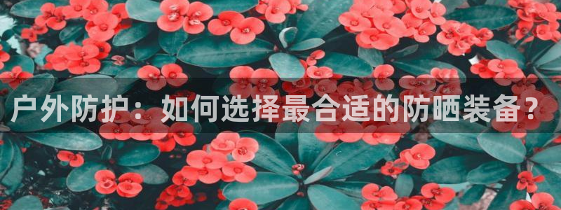 新宝gg为什么没人管