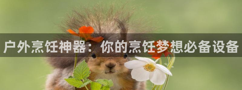 新宝GG53339咨询新宝GG