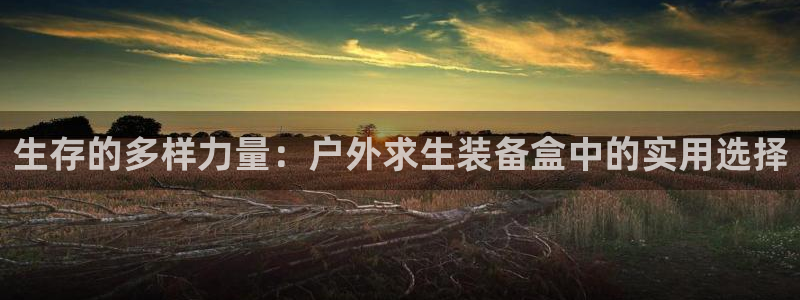 新宝gg平台q891465