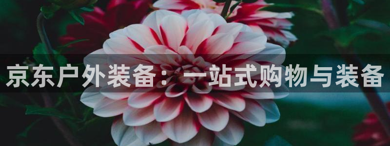 新宝gg创造奇迹登陆