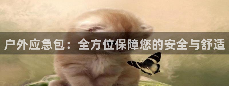 新宝gg-创业奇迹