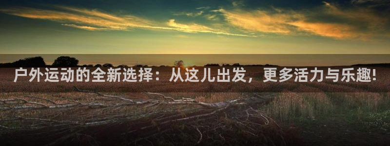 新宝gg娱乐盟主