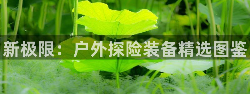 新宝gg主管花木兰